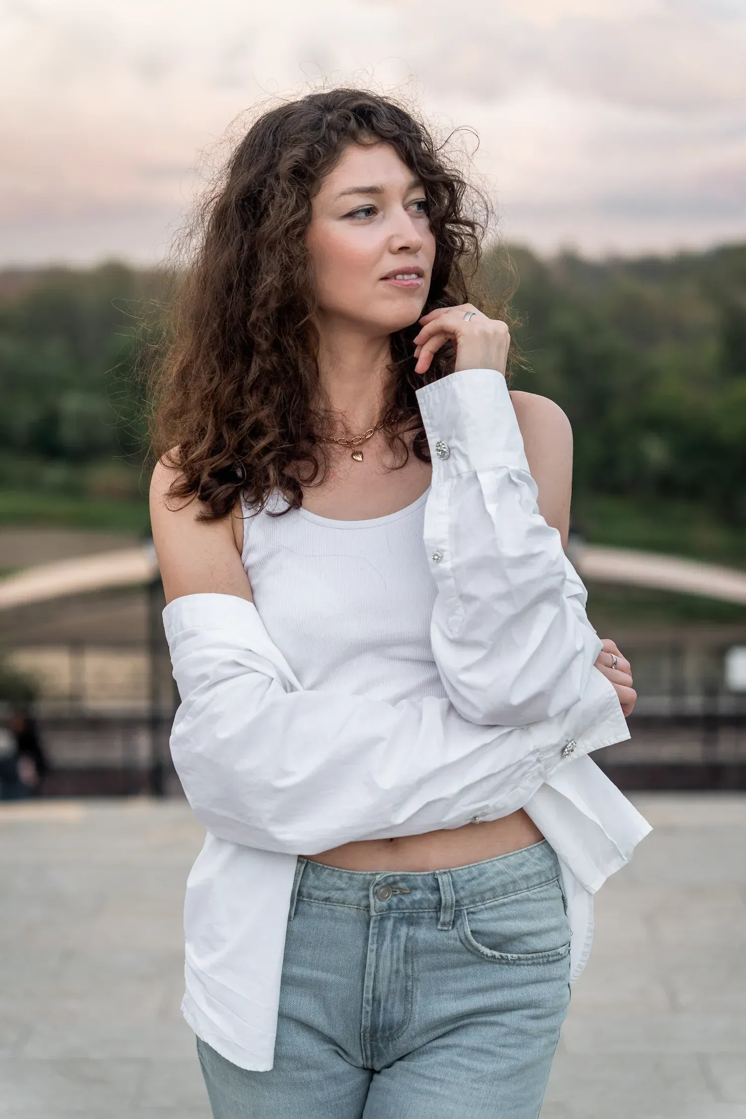 Diagram showing gut-brain axis and systemic health connections at Arise Integrative Wellness