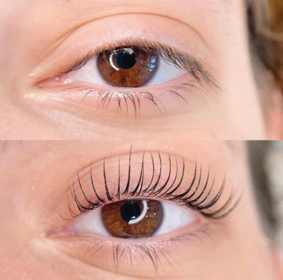 Lash Lift & Tint before and after