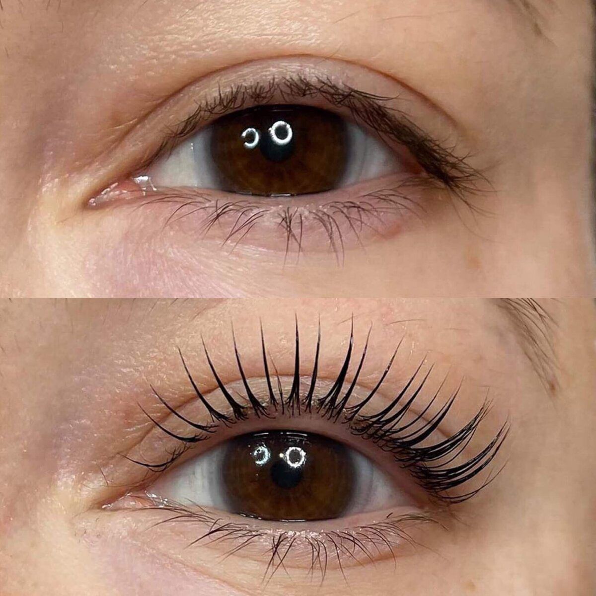 Lash Lift & Tint before and after