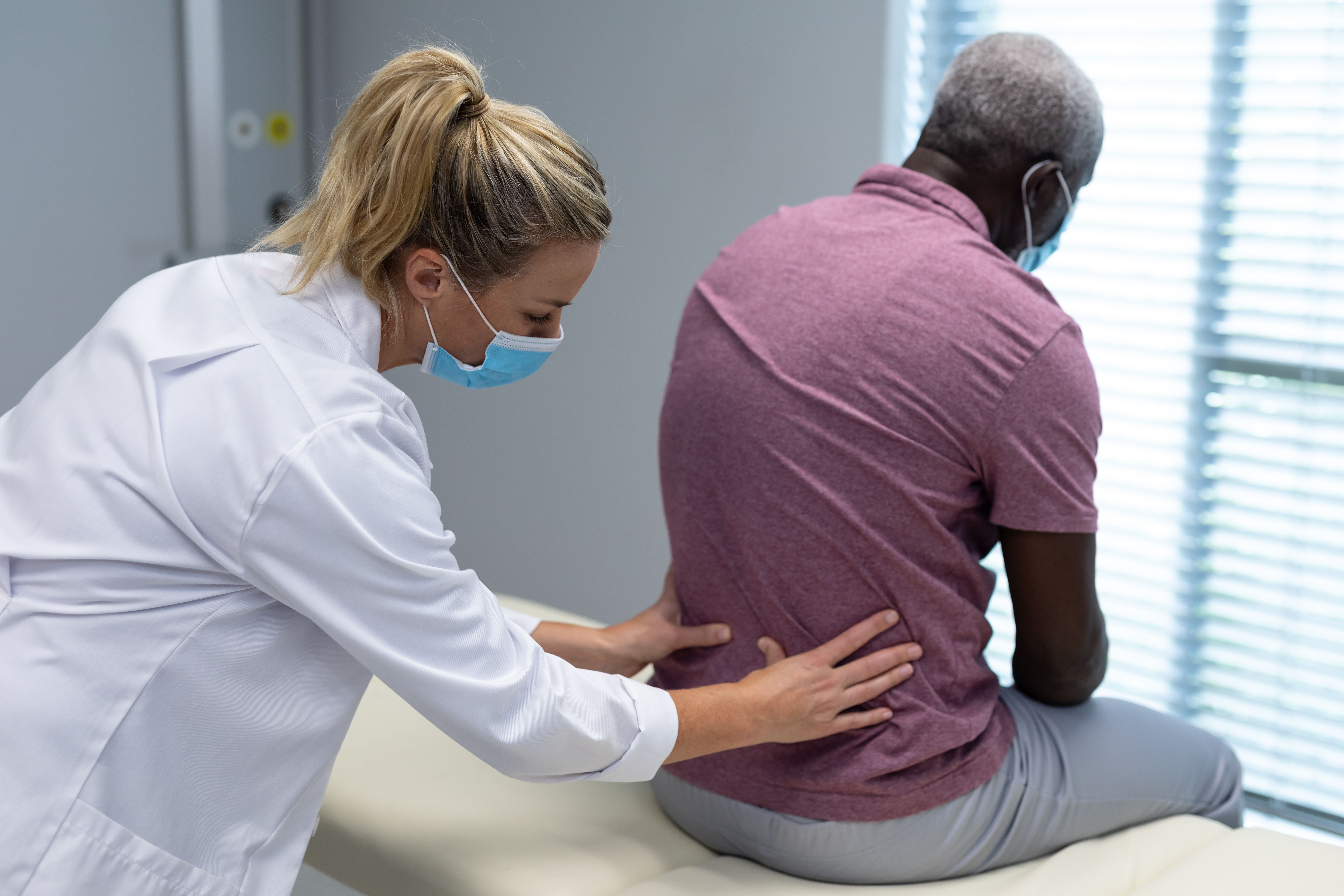 Illustration of spinal disc degeneration process at Roots Chiropractic and Wellness Alma