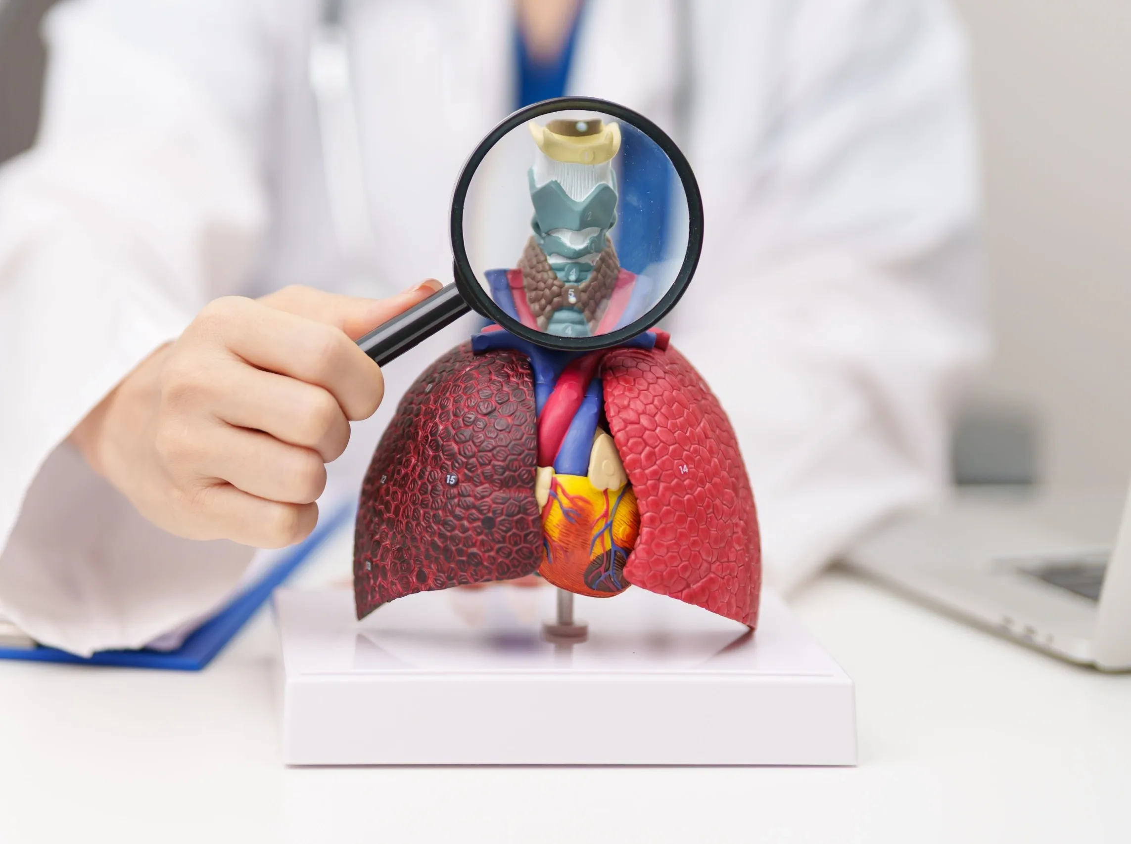 physician reviewing COPD treatment plan with patient Venice FL