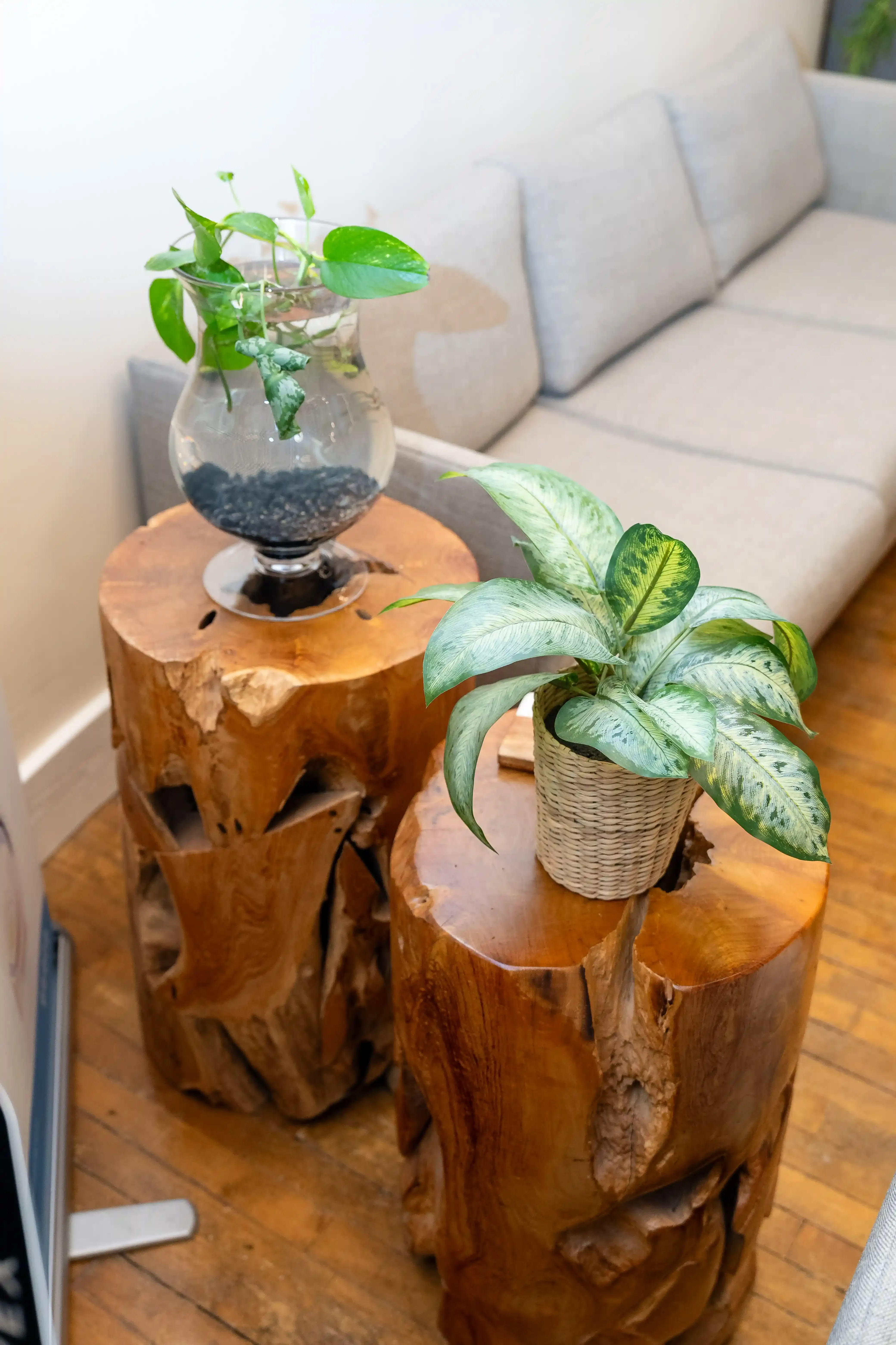 Service area map for Eternal Wellness Medical Spa Traverse City