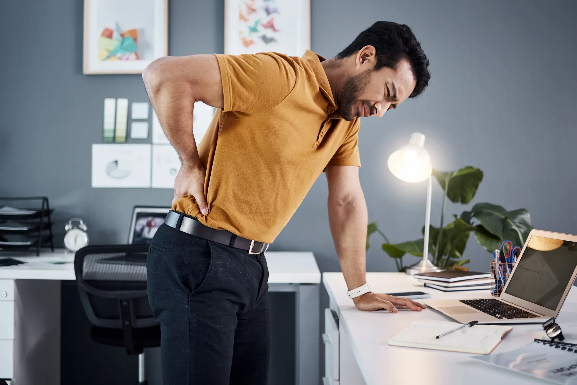Educational overview of back pain conditions at Roots Chiropractic and Wellness in Alma, GA