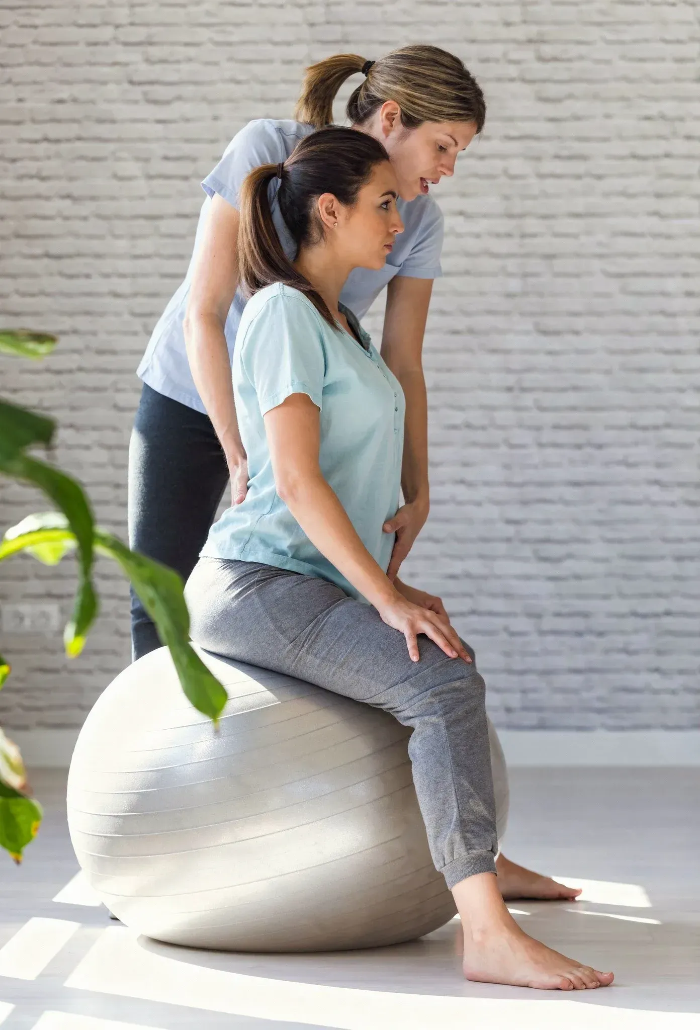 Illustration of postpartum abdominal and pelvic floor recovery at Hartley Health and Wellness Canton
