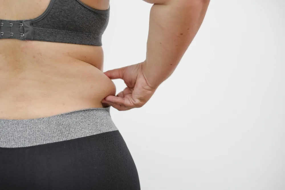 Diagram showing fat cell set points and metabolic resistance at Precision Chiropractic