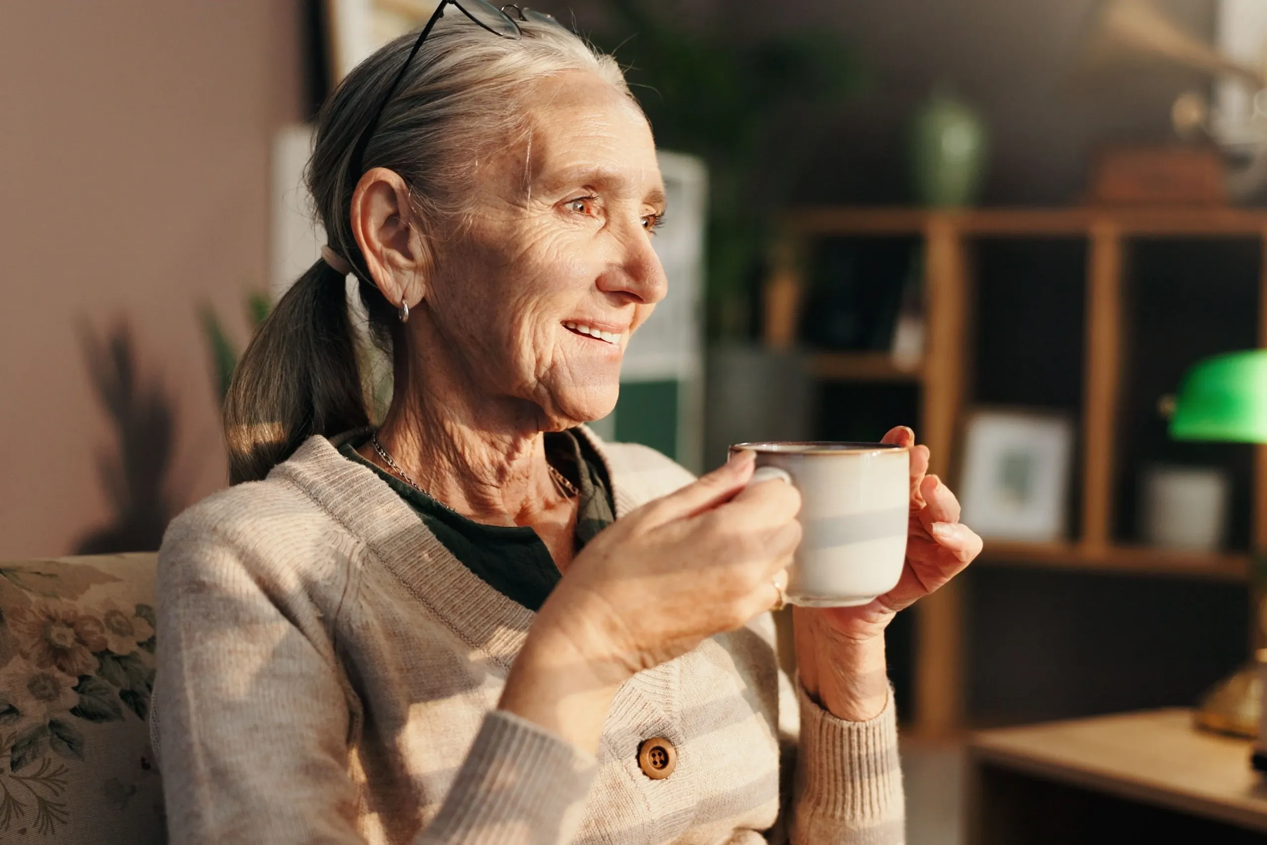 Illustration of pelvic floor support system at Precision Chiropractic Rockford