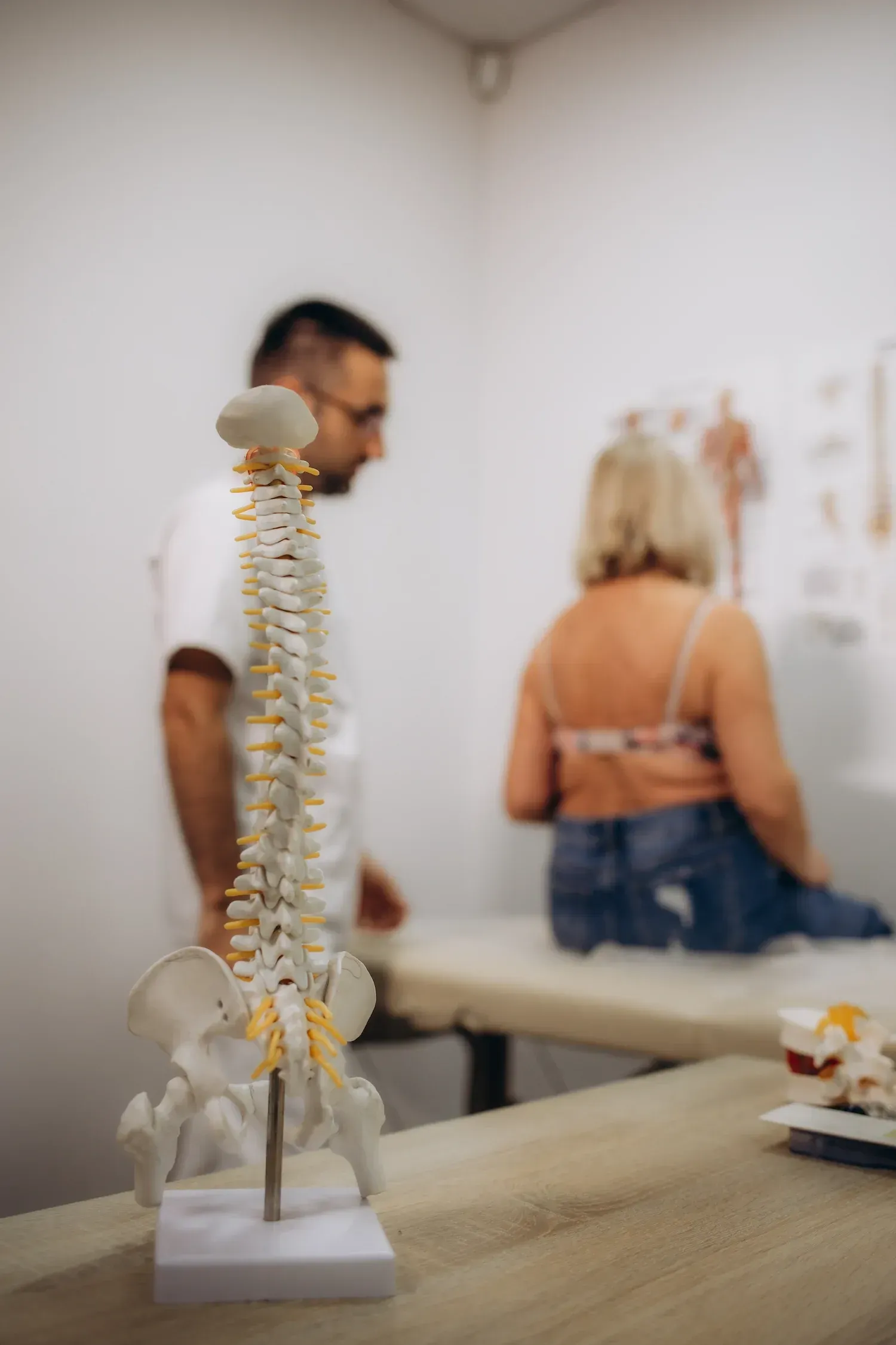 Close-up of cervical spine anatomy showing whiplash mechanism at ProActive Chiropractic Tampa