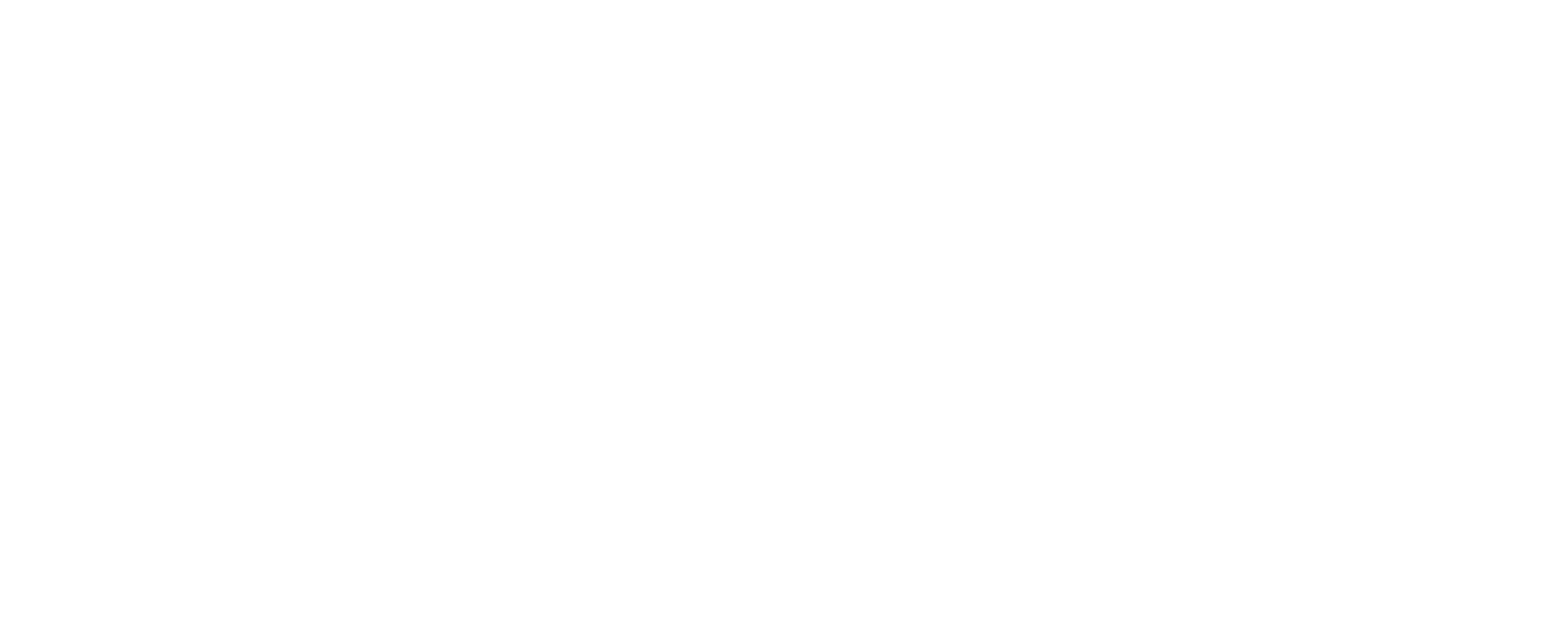Roots Chiropractic and Wellness logo