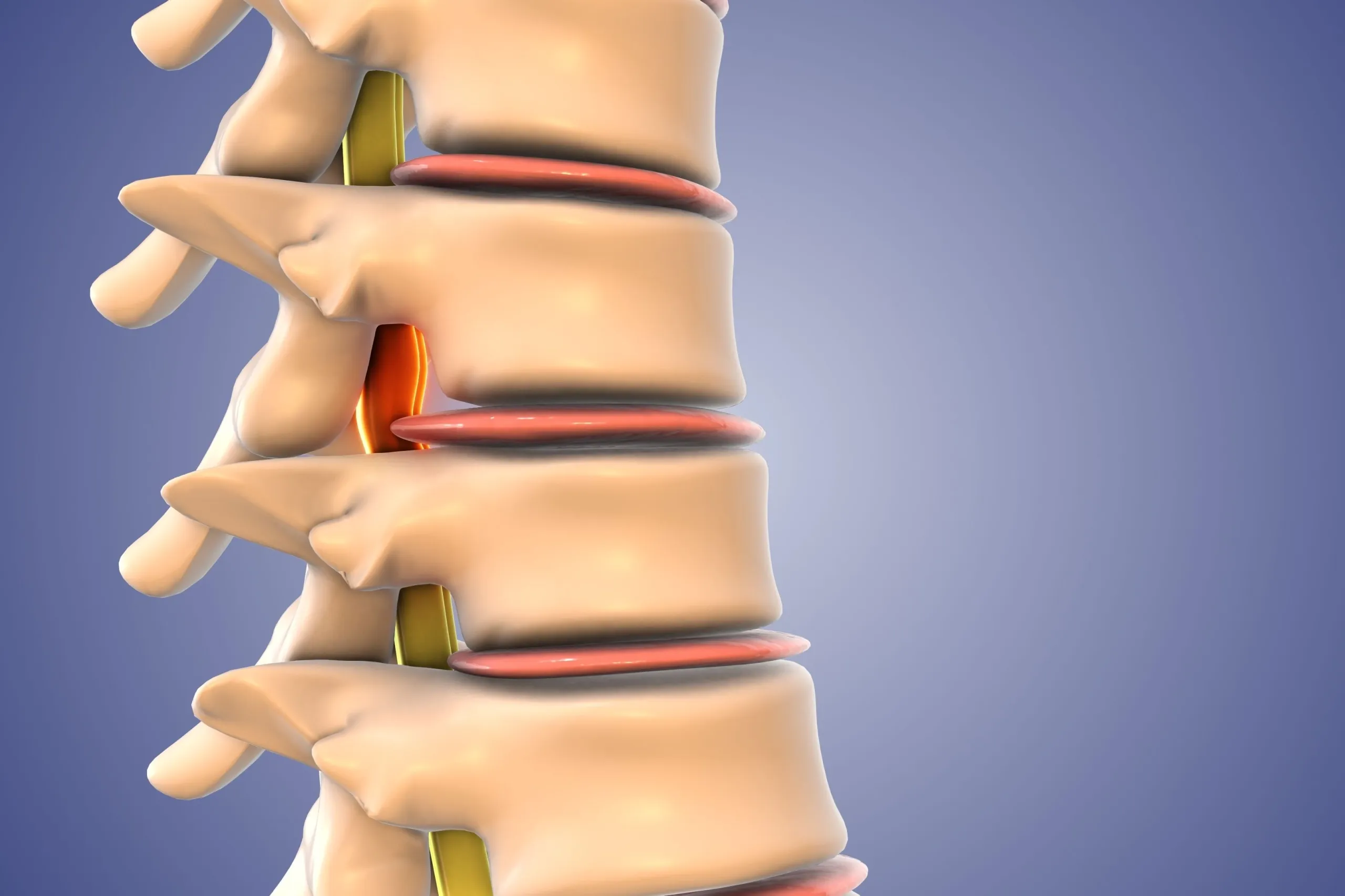 Spinal decompression table and equipment used at Bensa Chiropractic and Wellness Bradenton